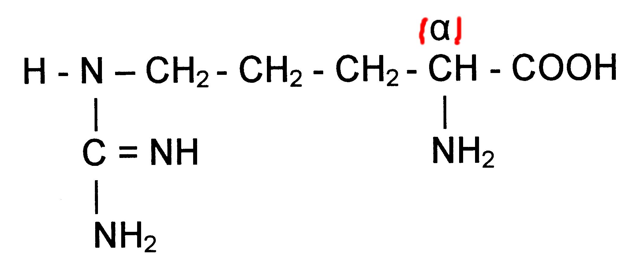Arginine; dash structure