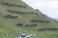 Snow fences