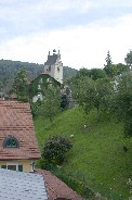 Sheep graze off side street in hilly portion of Bregenz