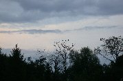 Roosting birds over fields near Vaduz Hostel