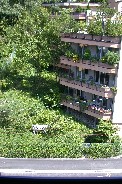 View from Zurich Youth Hostel window; yes that's a striped cow