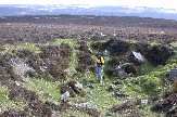 Tom investigates depression in moors