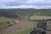 Fellow hikers on footpath in distance & more sheep