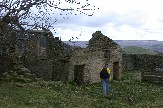 Abandoned building on sheep pasture