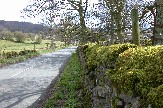 Moss everywhere - walls, trees, posts