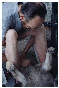 Now this is a trusting dog!