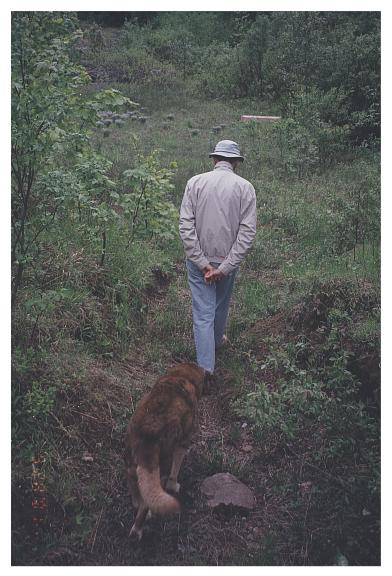 Tom leads the way