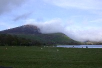 Pastoral scene in sourthern Snowdonia