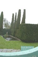 More Edward Scissorhands work?