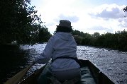 Kitty paddling in the bow
