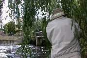 Almost caught by a willow