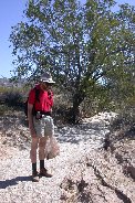 Ironwood tree behind Paul has both deep and shallow root system