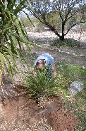 Checking that water now flows properly