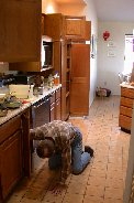 Paul lead the reorganization of the kitchen
