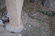 Molted snake skin at passageway between outbuilding and wall
