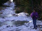 Kitty (and Paul too) detoured through the woods to get to where she is Kitty (and Paul too) detoured through the woods to get to where she is