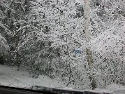 Newly posted 9-1-1 designated property number at the end of our driveway is barely visible in the snow