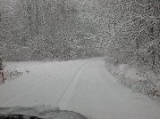 The snow continues to fall as we near the boundaries of the private park