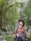 Paul takes a look at plants growing to the ceiling