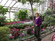 Kitty in front of marvelous display of color in Allan Gardens Kitty in front of marvelous display of color in Allan Gardens