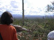 The distant view as well as coyote on rock gets everyone&rsquo;s attention