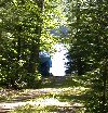 Water in the lake at the far end of driveway