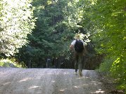 Last major hill climb in the home stretch