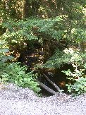 Water frow west end of Little Straggle flows through culvert and further to west