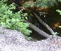 Yes, there's flowing water down there