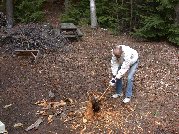An old stump must be removed for vehicle access to back porch