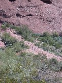 Rom and Adi &lsquo;take on&rsquo; the neighboring hill
