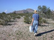 Now we&rsquo;re headed north and back into the desert itself