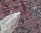 Is this mountain sheep admiring the magnificent expanse of the Grand Canyon?