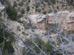 Mountain sheep appears to be considering its next move Mountain sheep appears to be considering its next move