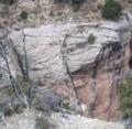 Mountain sheep has made his move Mountain sheep has made his move