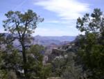 Jet contrail dissipates over Grand Canyon rimmed with weathered pines Jet contrail dissipates over Grand Canyon rimmed with weathered pines