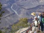 Colorado River has Oli's attention at another observation point
