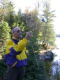 Paul lets the wind disperse the milkweed pod silk Paul lets the wind disperse the milkweed pod silk