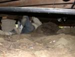 Tree stump makes for awkward working under cottage