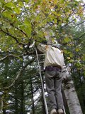 Getting access to the 'errant' limb while keeping position for ladder was tricky