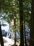 Tension on tree trunk from winch line