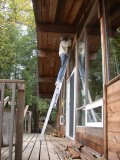All front windows in their final installation - just Paul's finishing remains