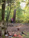 Another cut into the notch