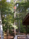 Climber sawing off branches as he goes