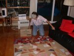 Kitty gets started laying out pattern with previously broken tiles