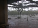 And the wind was forceful too