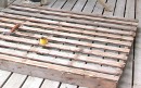 Hammer & container of nails atop previously added & existing supports, respectively