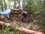 Some ground clearing and leveling needed before putting pallet down