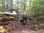 And an old rotted stump had to go too