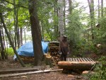 When that pallet is full we will have a mighty load of wood